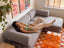 Sofá Cama Nest Tecido Boucle  Cinza - Sofá na Caixa